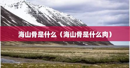 海山骨是什么（海山骨是什么肉）