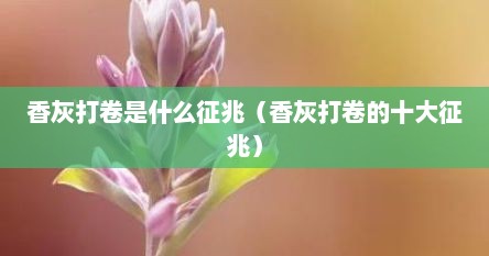 香灰打卷是什么征兆（香灰打卷的十大征兆）