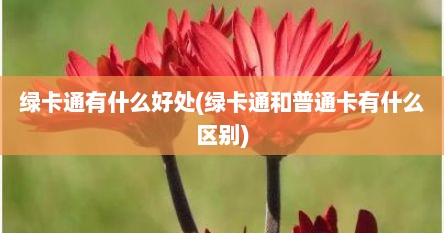 绿卡通有什么好处(绿卡通和普通卡有什么区别)