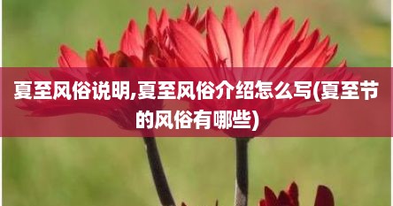 夏至风俗说明,夏至风俗介绍怎么写(夏至节的风俗有哪些)