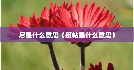 尽是什么意思（熨帖是什么意思）