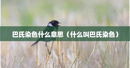 巴氏染色什么意思（什么叫巴氏染色）
