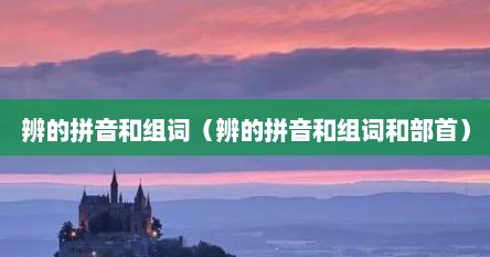 辨的拼音和组词（辨的拼音和组词和部首）