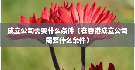 成立公司需要什么条件（在香港成立公司需要什么条件）