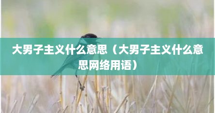 大男子主义啥意思（大男子主义是什么意思）