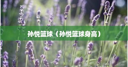 孙悦篮球（孙悦篮球身高）
