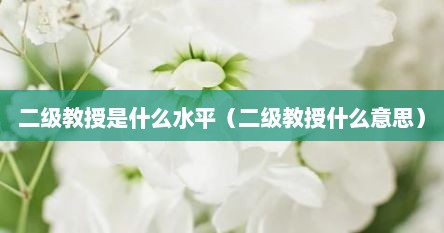 二级教授是什么水平（二级教授什么意思）