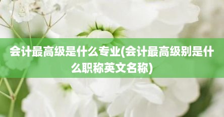 会计最高级是什么专业(会计最高级别是什么职称英文名称)