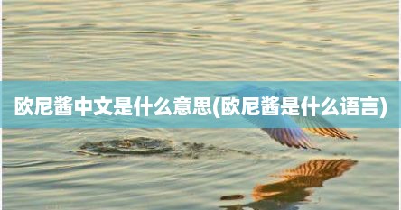 欧尼酱中文是什么意思(欧尼酱是什么语言)