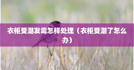 衣柜受潮发霉怎样处理（衣柜受潮了怎么办）