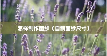 怎样制作面纱（自制面纱尺寸）