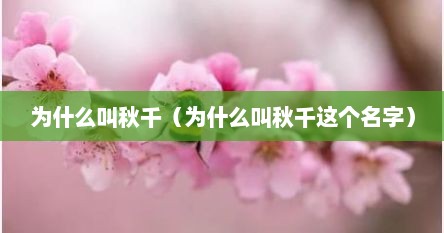 为什么叫秋千（为什么叫秋千这个名字）