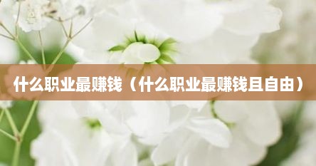 什么职业最赚钱（什么职业最赚钱且自由）
