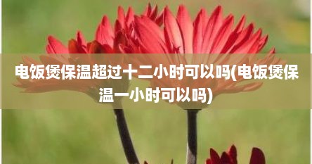 电饭煲保温超过十二小时可以吗(电饭煲保温一小时可以吗)