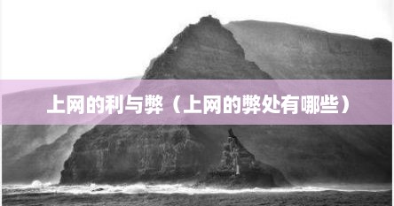上网的利与弊（上网的弊处有哪些）