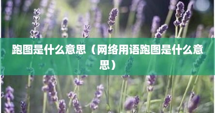 跑图是什么意思（网络用语跑图是什么意思）