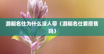 游艇名仕为什么没人带（游艇名仕要搭售吗）