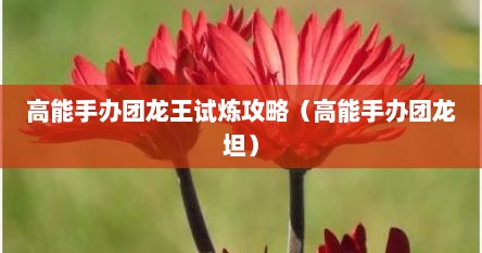 高能手办团龙王试炼攻略（高能手办团龙坦）