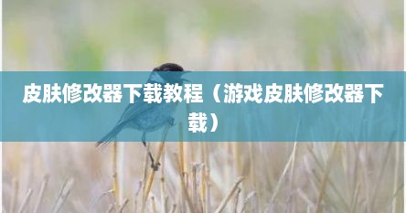 皮肤修改器使用教程及风险（皮肤修改软件推荐）