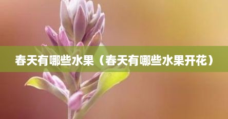 春天有哪些水果（春天有哪些水果开花）