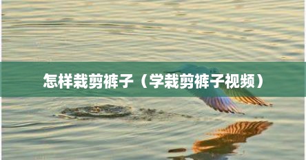 怎样栽剪裤子（学栽剪裤子视频）