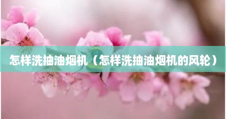 怎样洗抽油烟机（怎样洗抽油烟机的风轮）