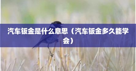 汽车钣金是什么意思（汽车钣金多久能学会）