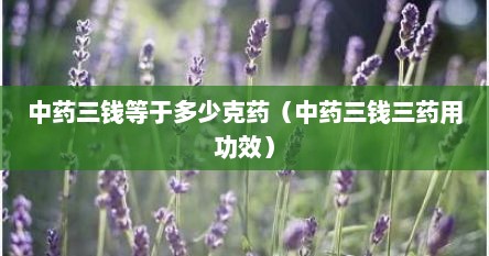 中药三钱等于多少克药（中药三钱三药用功效）