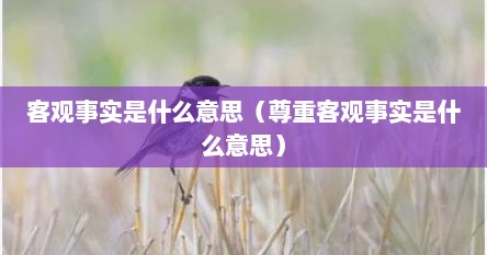 客观事实是什么意思（尊重客观事实是什么意思）