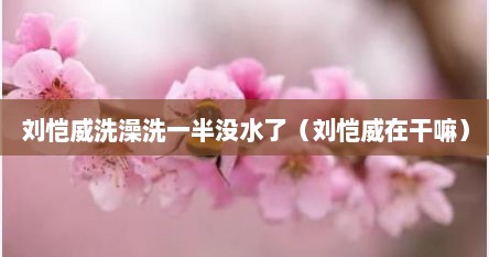 刘恺威洗澡洗一半没水了（刘恺威在干嘛）