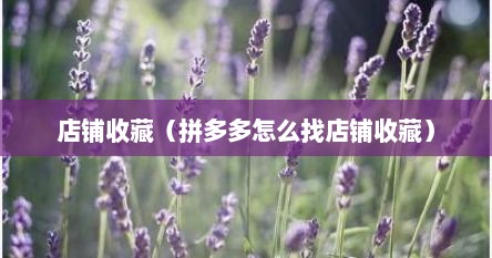 店铺收藏（拼多多怎么找店铺收藏）