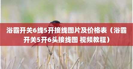 浴霸开关6线5开接线图片及价格表（浴霸开关5开6头接线图 视频教程）