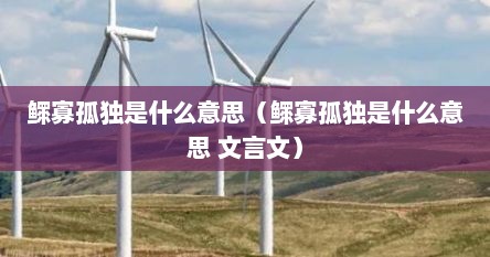 鳏寡孤独是什么意思（鳏寡孤独是什么意思 文言文）