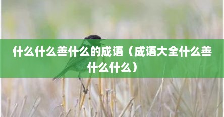什么什么善什么的成语（成语大全什么善什么什么）