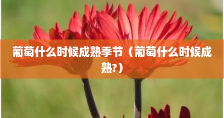 葡萄什么时候成熟季节（葡萄什么时候成熟?）