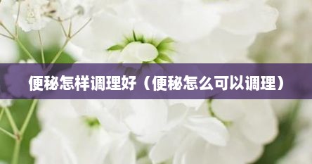 便秘怎样调理好（便秘怎么可以调理）