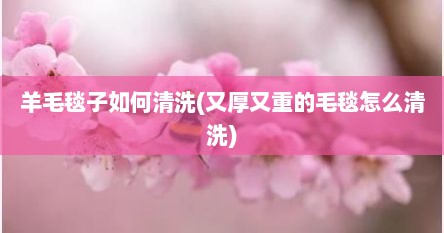 羊毛毯子如何清洗(又厚又重的毛毯怎么清洗)