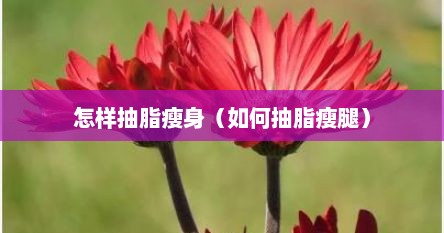 怎样抽脂瘦身（如何抽脂瘦腿）