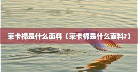 莱卡棉是什么面料（莱卡棉是什么面料?）