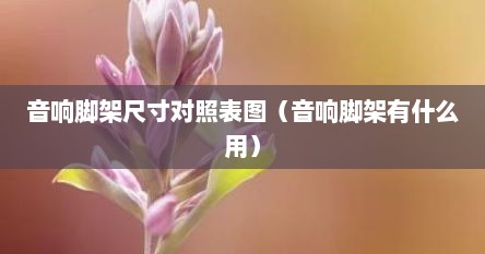 音响脚架尺寸对照表图（音响脚架有什么用）