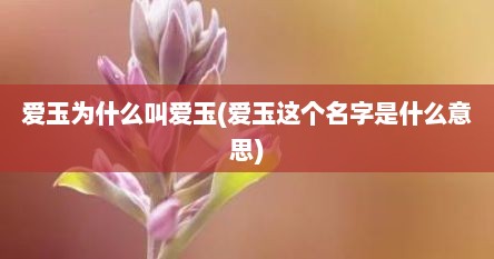 爱玉为什么叫爱玉(爱玉这个名字是什么意思)