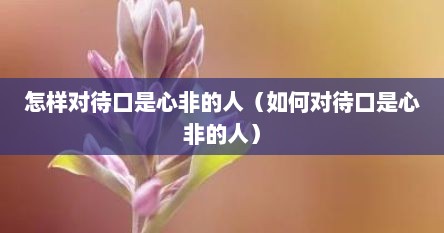 怎样对待口是心非的人（如何对待口是心非的人）
