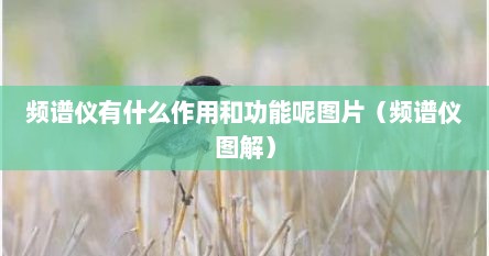 频谱仪有什么作用和功能呢图片（频谱仪图解）