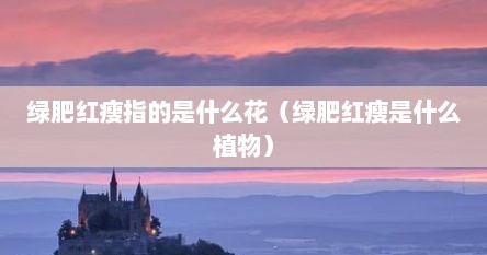绿肥红瘦指的是什么花（绿肥红瘦是什么植物）