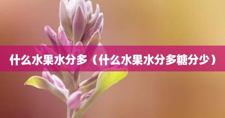 什么水果水分多（什么水果水分多糖分少）
