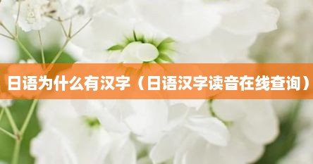 日语为什么有汉字（日语汉字读音在线查询）