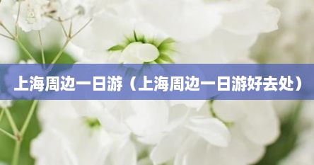 上海周边一日游（上海周边一日游好去处）