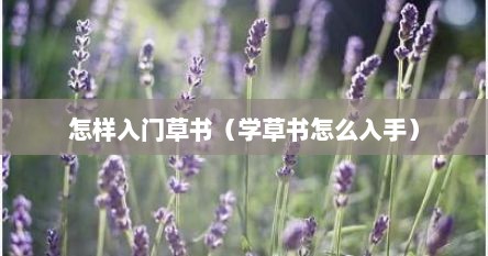 怎样入门草书（学草书怎么入手）
