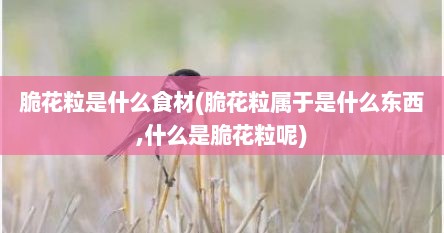 脆花粒是什么食材(脆花粒属于是什么东西,什么是脆花粒呢)