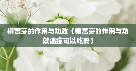 柳蒿芽的作用与功效（柳蒿芽的作用与功效癌症可以吃吗）